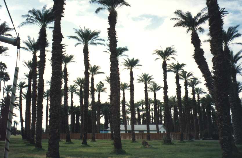 DEATHVALLEY12.JPG (55600 octets)