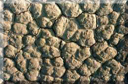 DEATHVALLEY8.JPG (13475 octets)