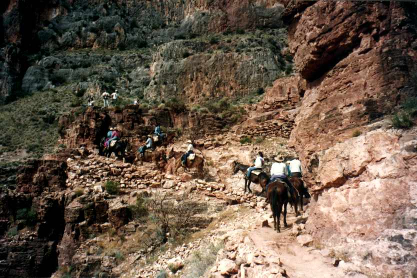 GRAND_CANYON17.JPG (106560 octets)
