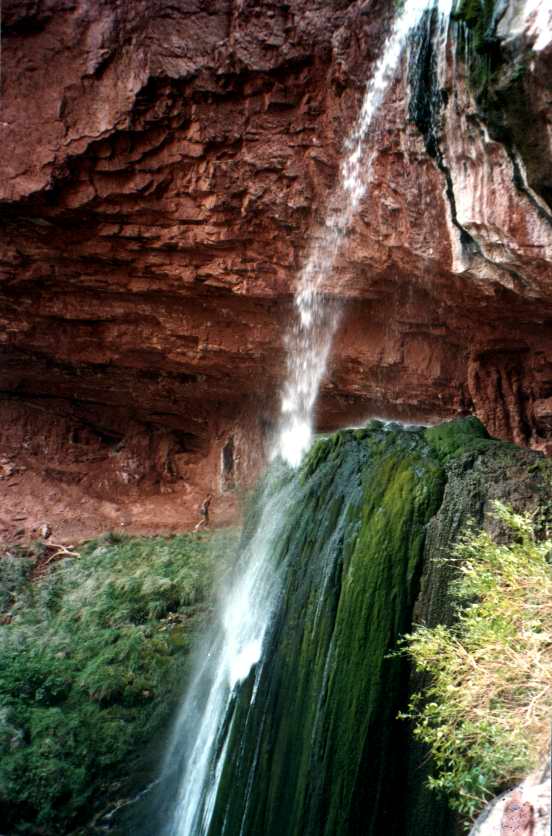 GRAND_CANYON7.JPG (57085 octets)
