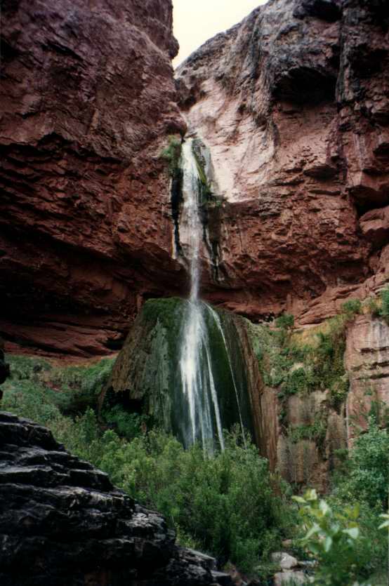 GRAND_CANYON8.JPG (51579 octets)