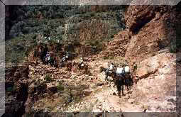 GRAND_CANYON17.JPG (11738 octets)