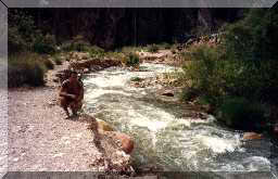 GRAND_CANYON19.JPG (8756 octets)