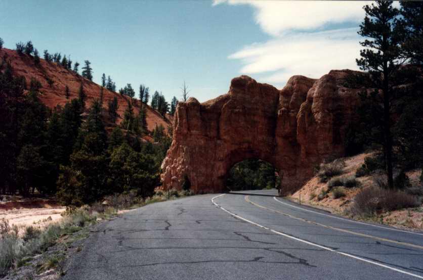 REDCANYON2.JPG (47199 octets)