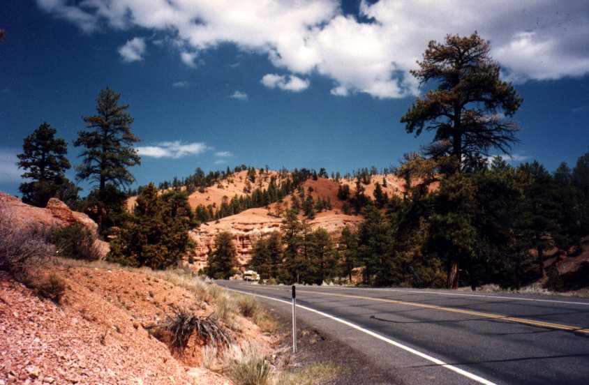 REDCANYON4.JPG (56785 octets)