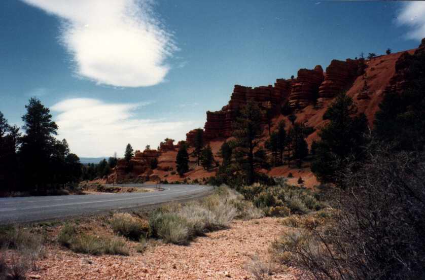 REDCANYON5.JPG (46540 octets)