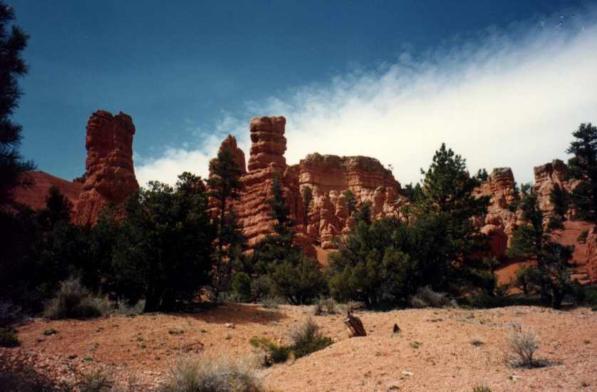 REDCANYON6.JPG (47115 octets)