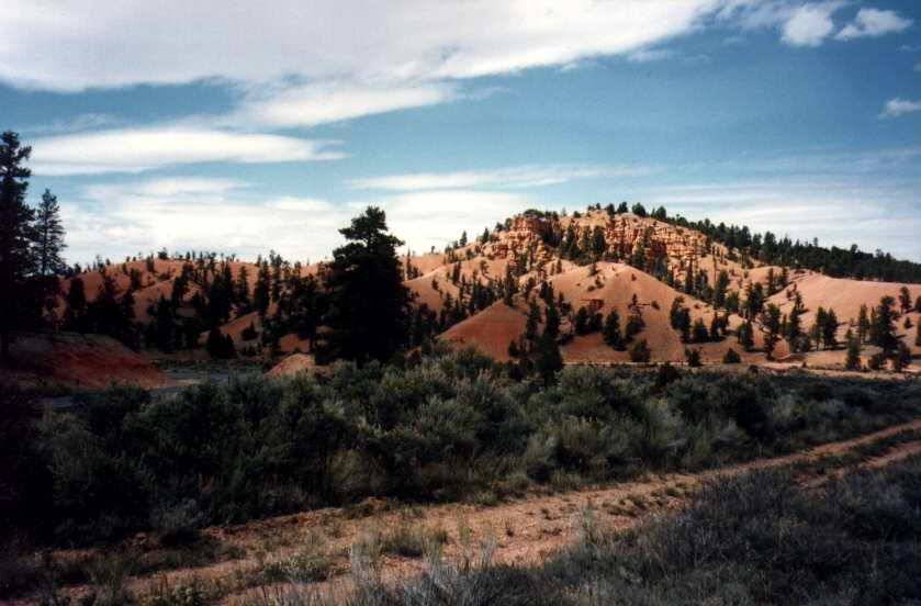REDCANYON7.JPG (47132 octets)