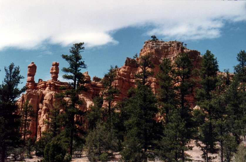 REDCANYON8.JPG (54117 octets)