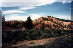 REDCANYON7.JPG (7061 octets)